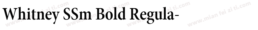 Whitney SSm Bold Regula字体转换
